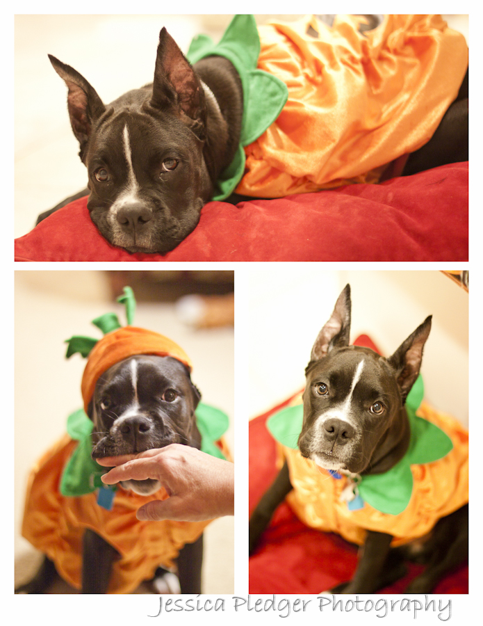 Halloween Photos