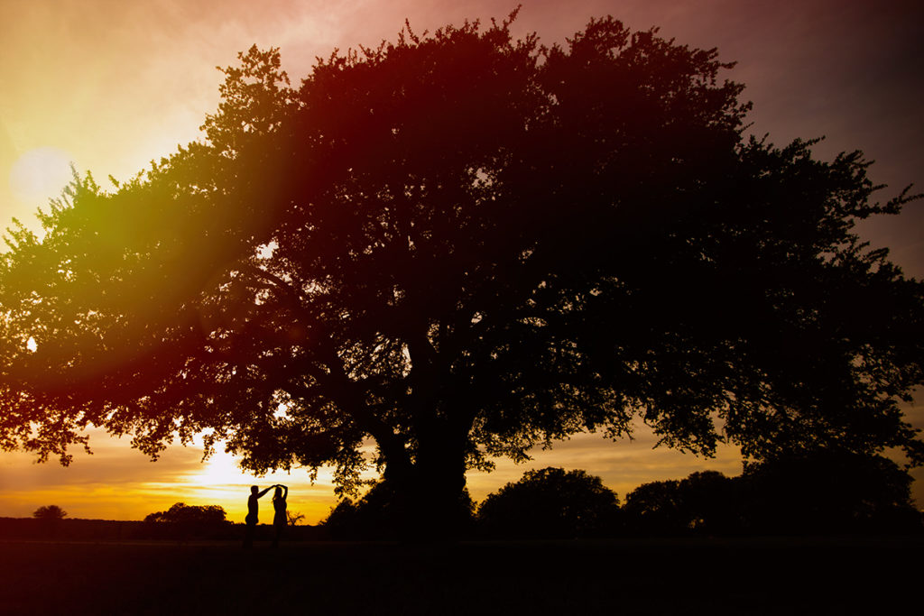 Houston Top Engagement Photos by Jessica Pledger Photography 2016