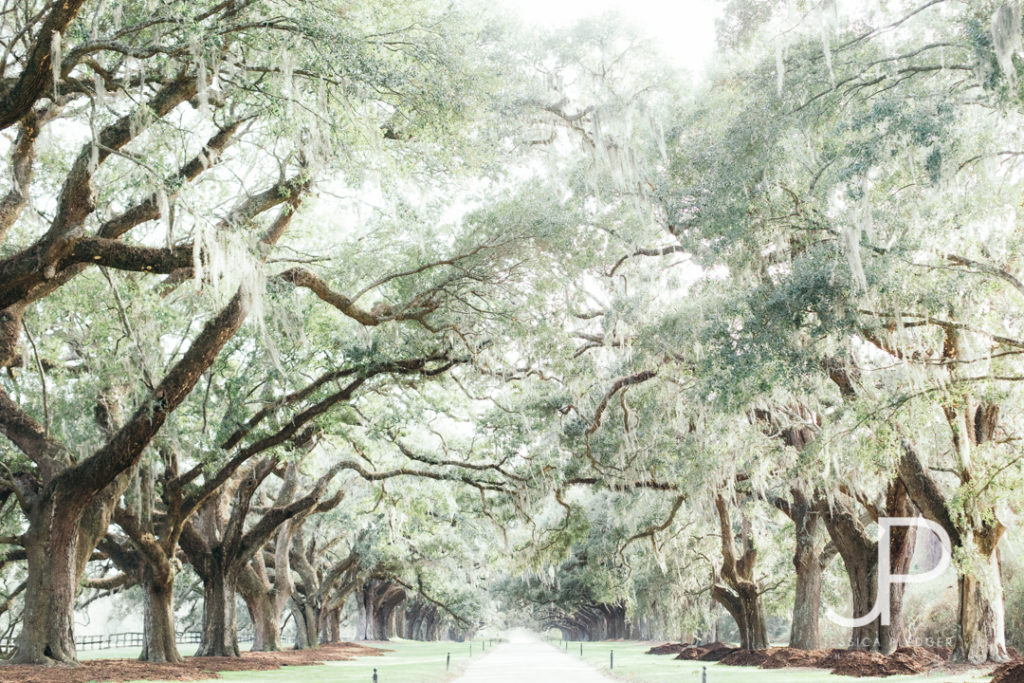 Charleston Travel Guide 