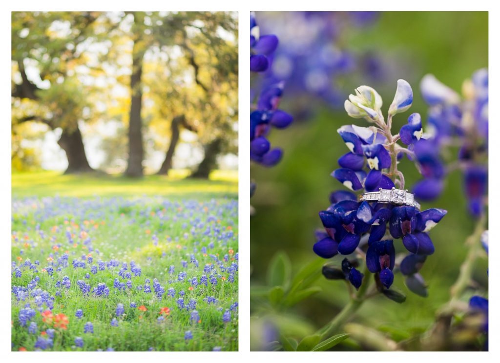 Aaron & Brooke Engagement Proposal Photos outside of Houston in wildflowers, bluebonnets, and Indian Paintbrushes - Jessica Pledger Photography