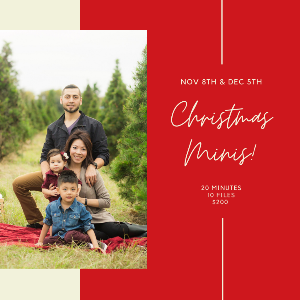 Houston Christmas Mini Sessions