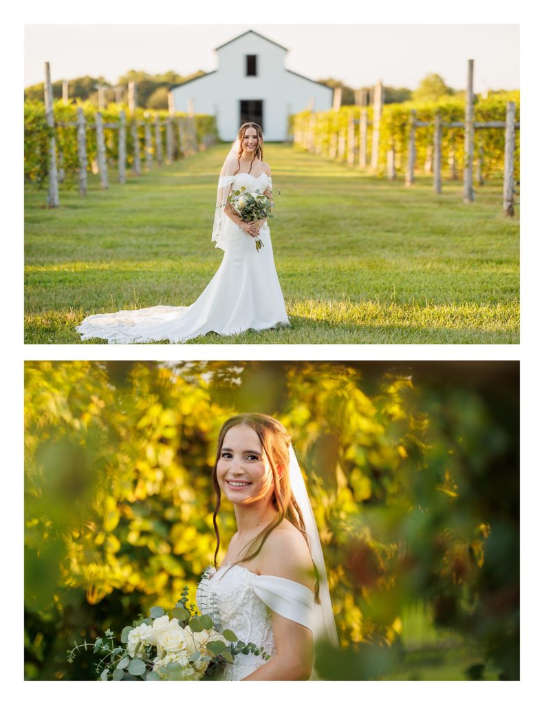 Elegant bridal portrait in front of reception entrance at La Maison Blanc