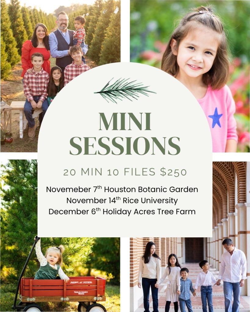2026 Houston Mini Photo Sessions - Christmas Photography Sessions - 20 minutes