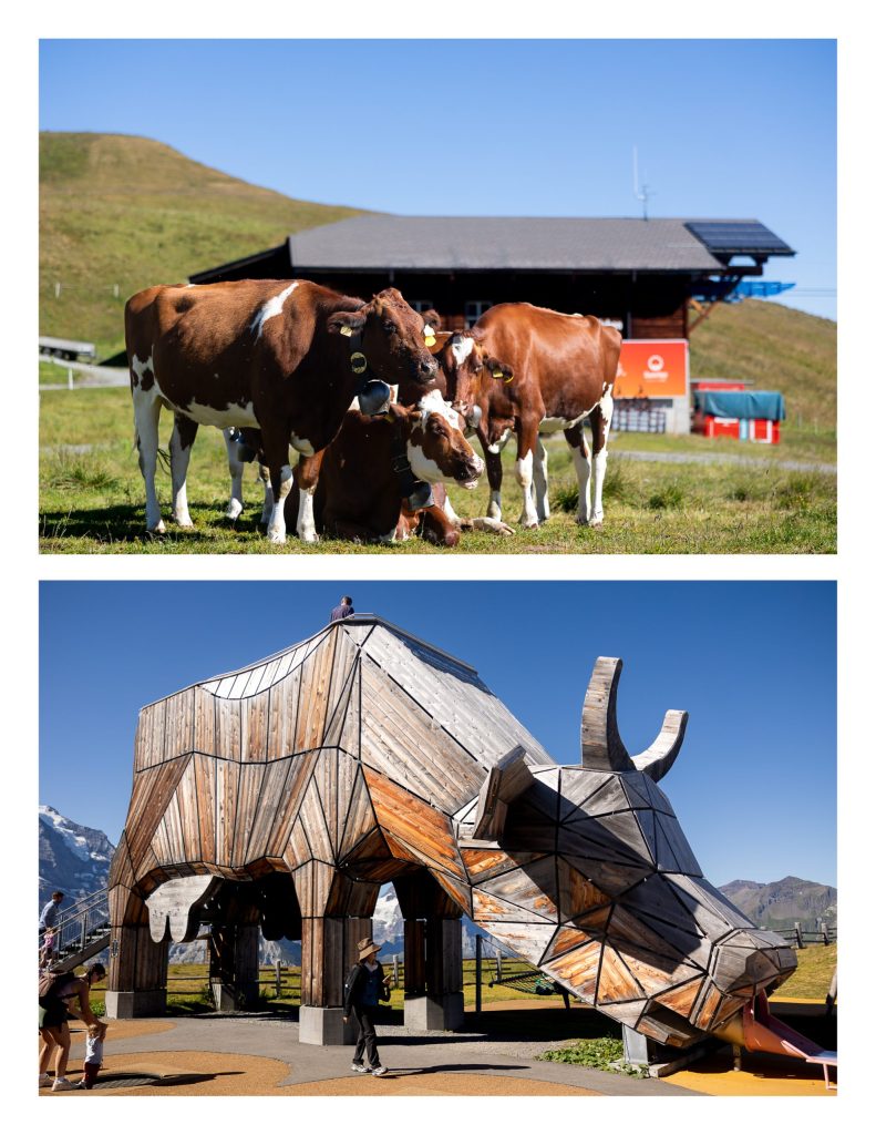 Family vacation in Wengen Switzerland